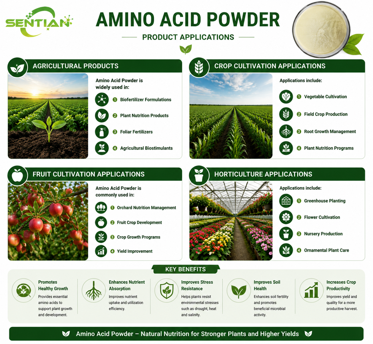 Amino Acid Powder(2)