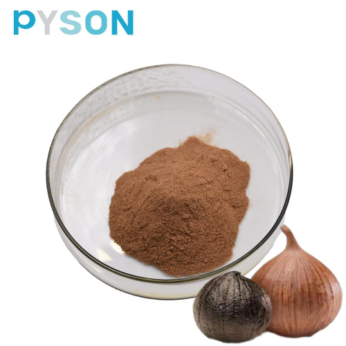 Black Garlic Extract S-ally-L-cysteine≥0.1%