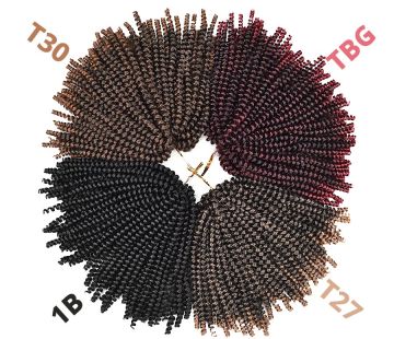 Alileader 100g/pack 4 Colors Spring Curl Hair Extensions Synthetic Braids Crochet For Women