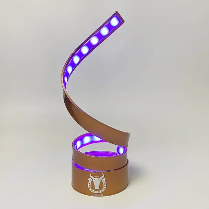 VIP LED Bottle Presenter Display Racks for Nightclubs