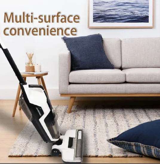 Wet Dry Vacuum Cleaner and Mop