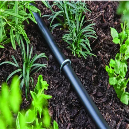 Drip Irrigation Tubing Stakes