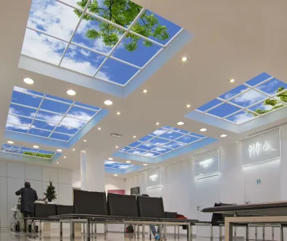 Led Artificial Skylight Panel: Customized Recessed Skylight Board Ceiling Lights