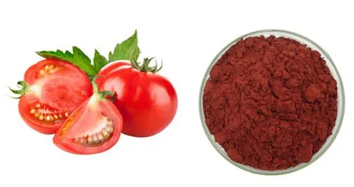 Lycopene powder