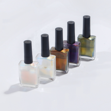 OEM Manufacturer Nail Gel Polish Sets with UV Nail Art and Chrome Mirror Powder
