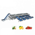 Four Size Roller Grading Machine for food processing