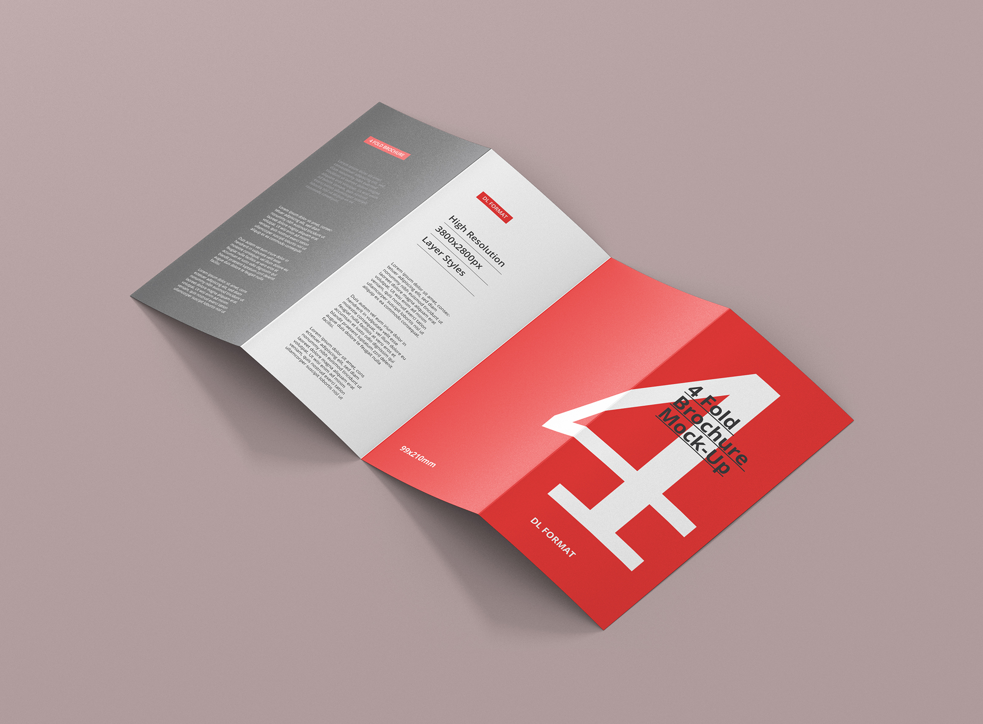 Premium Quad-Fold Leaflet for Business Promotion