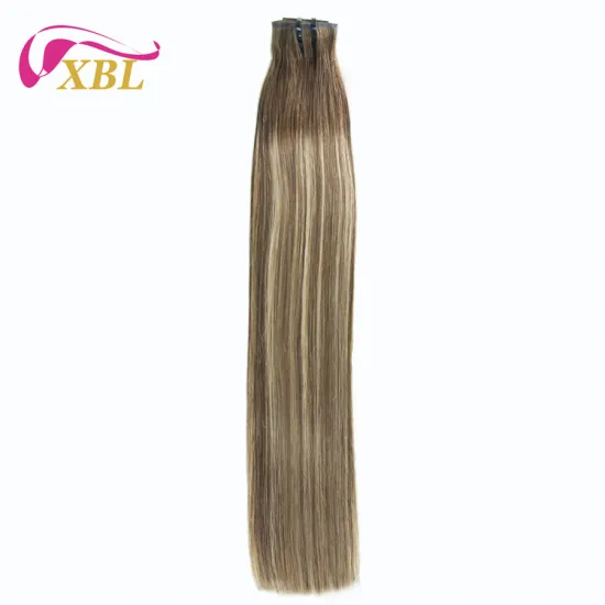 XBL Vietnamese Raw Hair Tape-In Extensions in Color 4/27: Virgin Human Hair with Easy Care and One Donor
