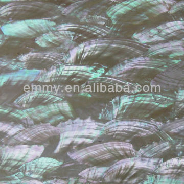 abalone shell paper