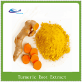 European Stocks/95% Turmeric Curcumin HPLC/Curcuma