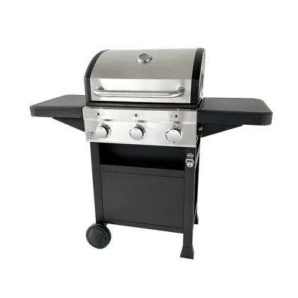 Best Napoleon BBQ Gas Grill