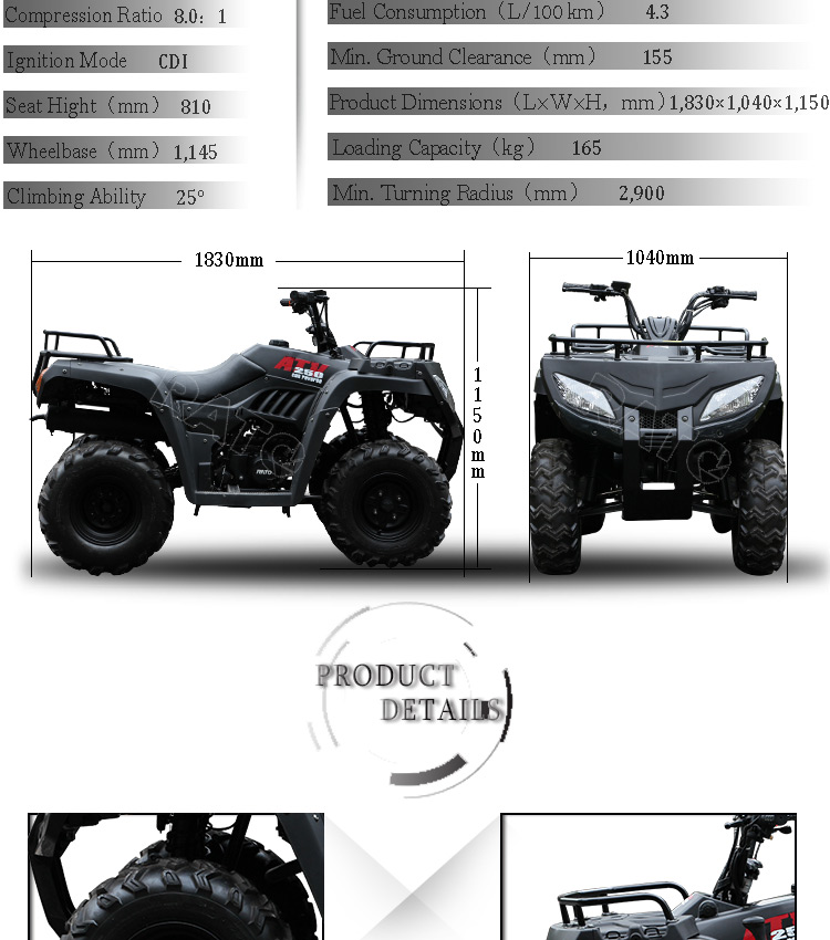 250cc_02
