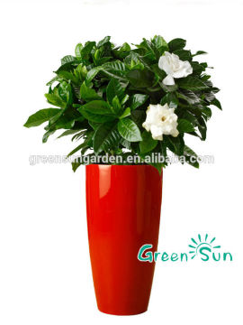 bright color flower pot
