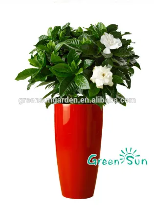 bright color flower pot