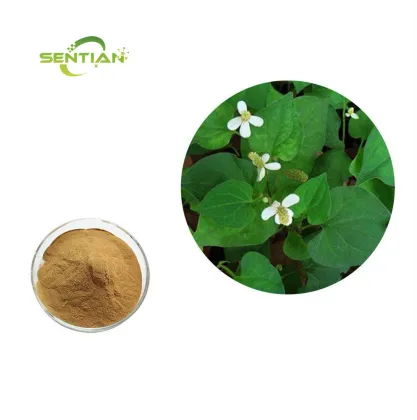 Nature Product houttuynia cordata extract