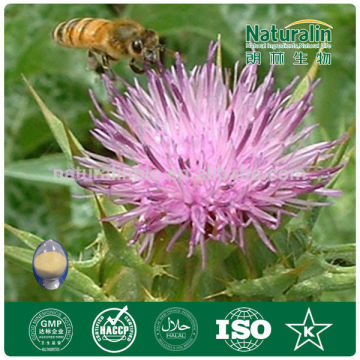 High Quality Pharmaceutical grade Milk Thistle Extract,Milk Thistle Plant Extract