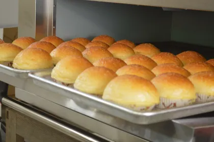 1 Deck 2 Tray Commecial Baking Pizza Oven for Kitchen Appliances