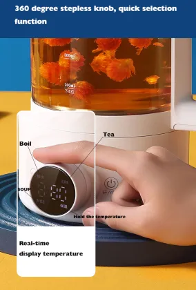 Electric Kettle Baby Milk Modulator Boil Water Health Pot