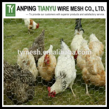 1/4 inch galvanized chicken wire mesh