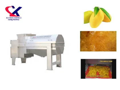 Fruit Processing Industry: Mango Peeler Slicer Machine & Fruit Juice Manufacturing