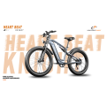 MX05 Electric Fat Bike