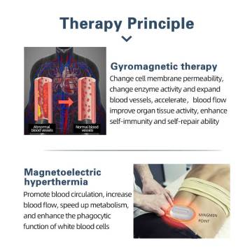 Aparatos de terapia magnética cuántica de giro portátil