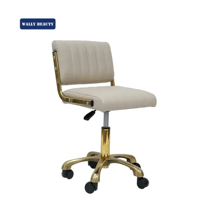 Hot Sale Beauty Salon Stool Hydraulic Salon Master Chair