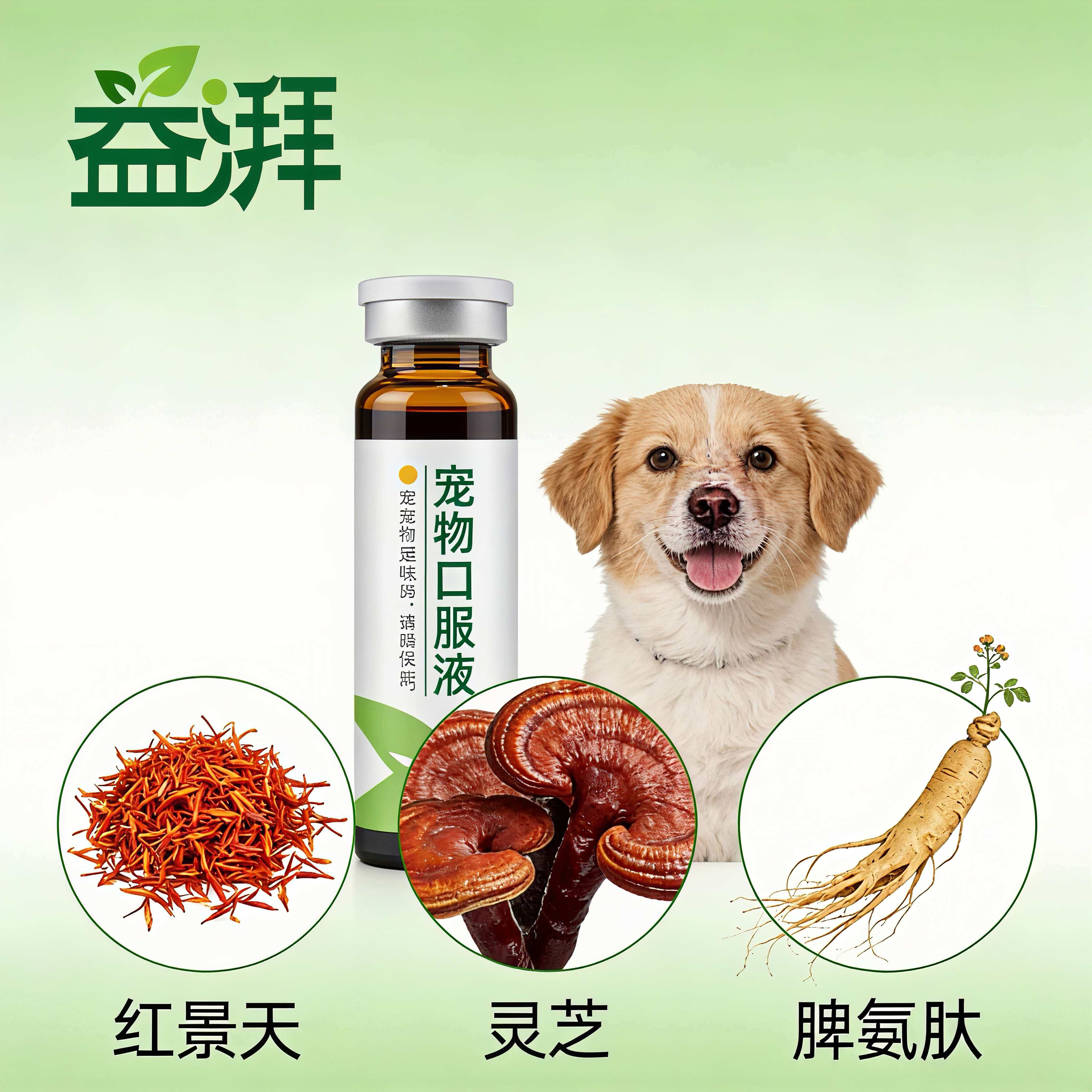 Antioxidant for senior pets