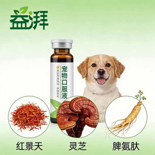 Suplemento para animais de estimação Yipai B12-Peptide líquido oral de vitamina B12 por atacado
