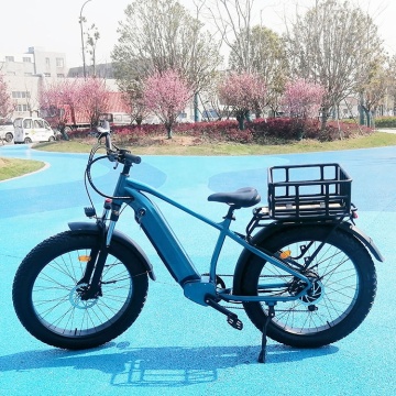 OEM Hot Selling 750W All-Terrain Fat Tyre e-Bike met 19Ah-batterij: Betaalbare Super Power Direct Aankoop-optie