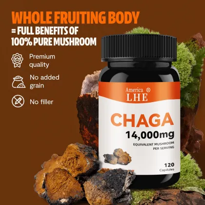 Mushrooms Chaga Mushrooms Capsules Support Health