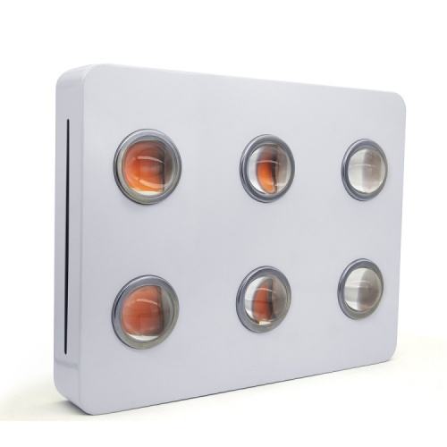 COB LED Grow Light Full Spectrum for Indoor