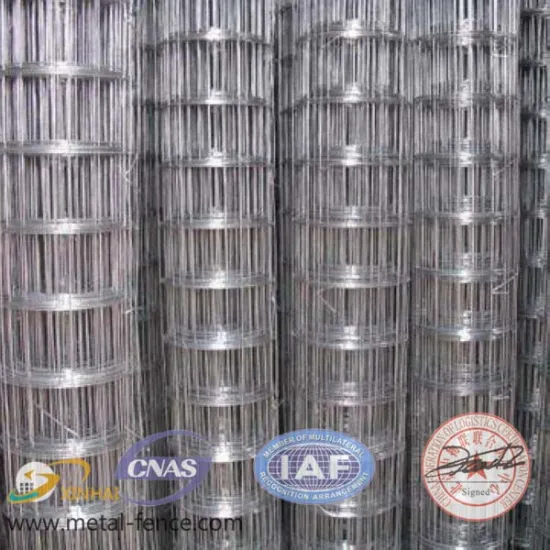 2x2 hot dip galvanized welded wire mesh (Manufacturer)
