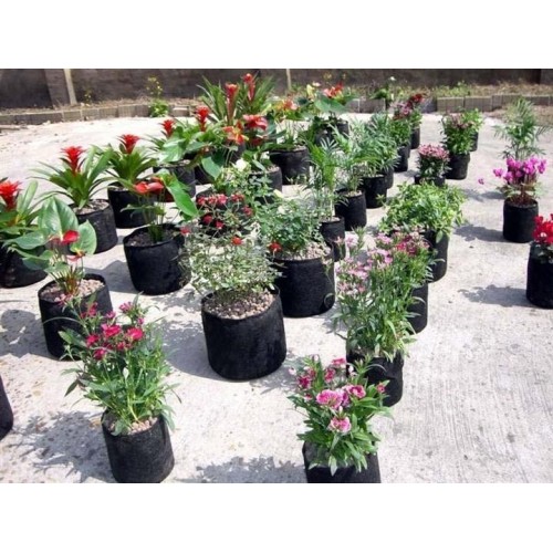 Non Woven Fabric Plant Grow Bags