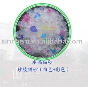 silica litter for cats