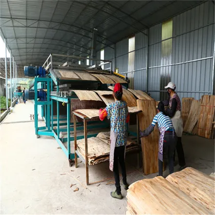 Face Veneer Dryers Machines