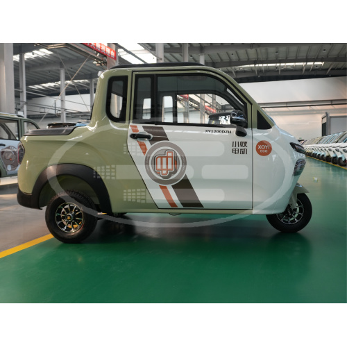 Xe điện chở hàng 2 cửa