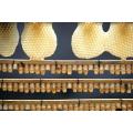 Bienenstock Honey Comb 100 % natürliche