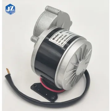 DC 24V Brushed Motor MY1016Z2 250W In Stock for E-bike
