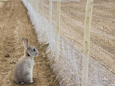 rabbit-wire-wooden-posts