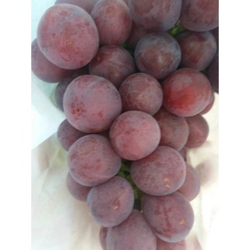 Fresh Red Red Grapes
