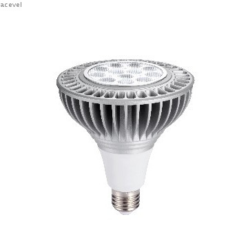 3000K, 20W LED PAR light PAR38 E27