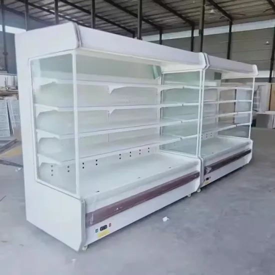 Commercial Meat Cooler Display Fridge Cold Drinks Refrigerator