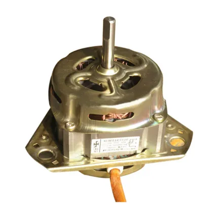 XD150 Washing Machine Motors: BLDC vs AC Induction