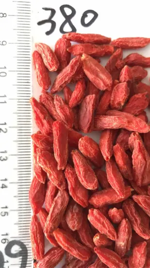 Best Goji Berry Supplement