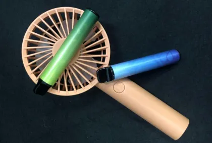 Heat not Burn Disposable Electronic Cigarettes