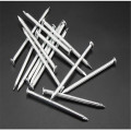 Electro Galvanized Concrete Nails and Steel Nails