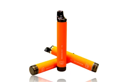 Puff Flex 2800 Puffs Factory Price