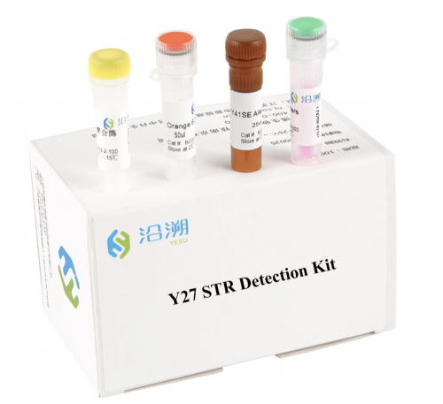 Y 41SE STR Detection Kit