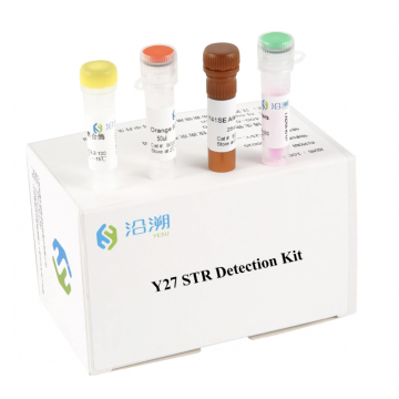 Y 41SE STR Detection Kit